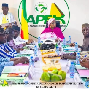 16ème Session Ordinaire du Conseil d’administration de l’APEX-MALI : Les administrateurs évaluent la performance à mi-parcours de l’année 2026 de l’agence
