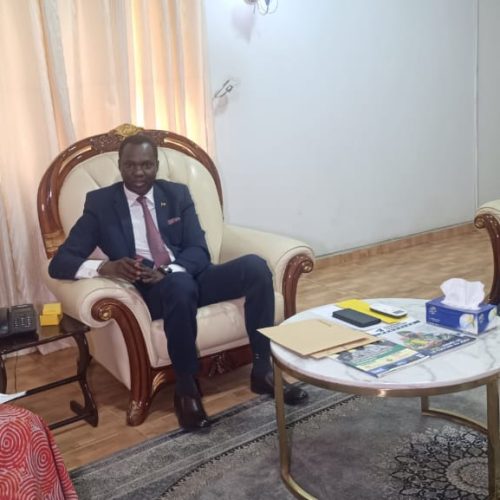 Diplomatie Economique : Le Groupe DANGOTE explore la destination Mali auprès de l’Ambassadeur du Mali au Nigéria