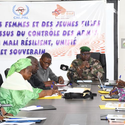 Lutte Contre la Prolifération des Armes Légères et de Petit calibre : Le rôle des femmes et filles au centre des échanges