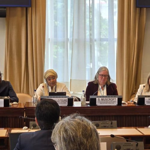 Actions humanitaires : La ministre de la Santé et du Développement social présente le plan de réponse humanitaire 2026 aux acteurs humanitaires et pays partenaires