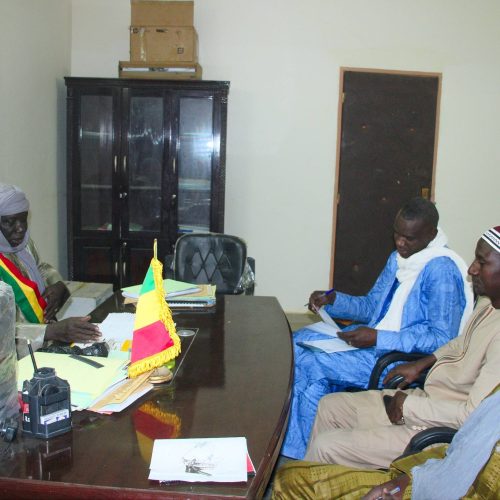 Goundam : La mission du Projet « Desert to Power » présente sa vision