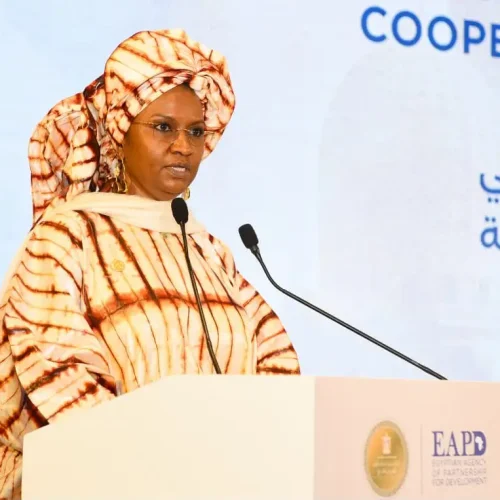 Cairo dialogue :  LE MALI PLAIDE POUR UNE COOPÉRATION SUD-SUD FONDÉE SUR LE PARTENARIAT ET LE DÉVELOPPEMENT DU CAPITAL HUMAIN