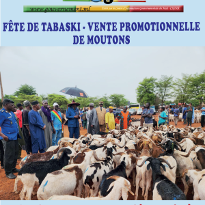 Info-Gouv N° 583 du Mardi 26 mai  2026