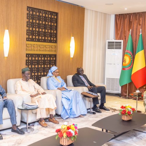 Défense du Mali devant les Juridictions Communautaires :  Le Pool d&rsquo;avocats de défense du Mali face à la CEDEAO et l&rsquo;UEMOA présente la victoire judiciaire au Président de la Transition