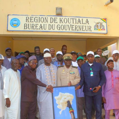 Supervision de la campagne agricole dans la zone Koutiala : Le Gouverneur Harouna SAMAKE reçoit le PDG de la CMDT en tournée dans la région
