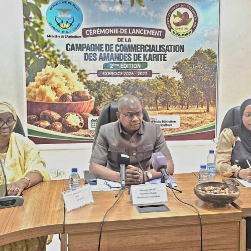 Promotion du Karité au Mali : C’est parti pour la campagne de commercialisation des amandes de karités