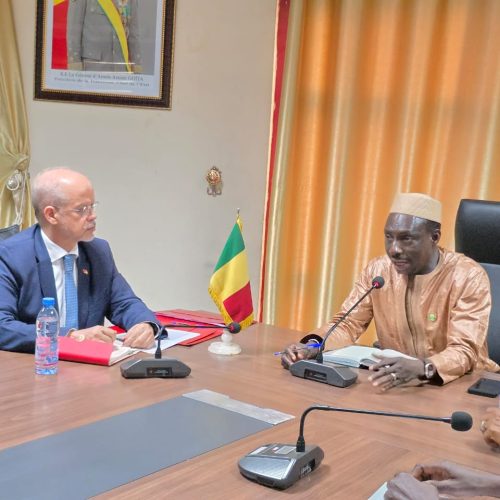Partenariat Agricole Mali-Maroc : Vers une redynamisation de la coopération agricole, à travers un transfert de compétences et de technologies
