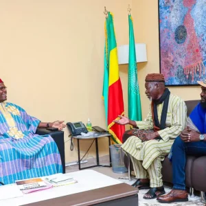 Festival International de SELINGUE-BAYA (FISEBA) : Les organisateurs présentent l’initiative au Ministre Mamou DAFFE