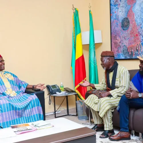 Festival International de SELINGUE-BAYA (FISEBA) : Les organisateurs présentent l’initiative au Ministre Mamou DAFFE