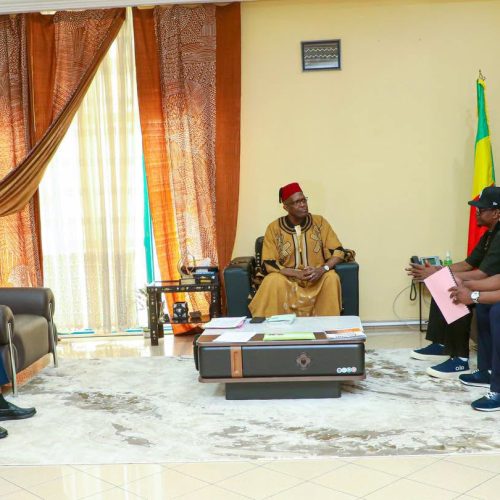 Festival Rapou Dôgô Kûn : Les organisateurs présentent l’initiative au ministre Mamou DAFFE