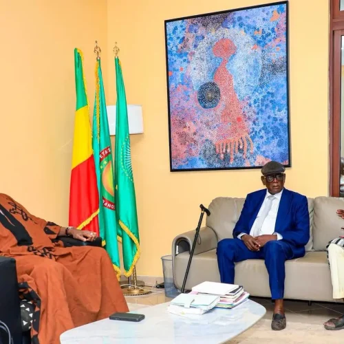 Protection et valorisation du patrimoine musical malien : L&rsquo;UAAPREM présente « LA FOIRE AUX DISQUES » au ministre Mamou DAFFE