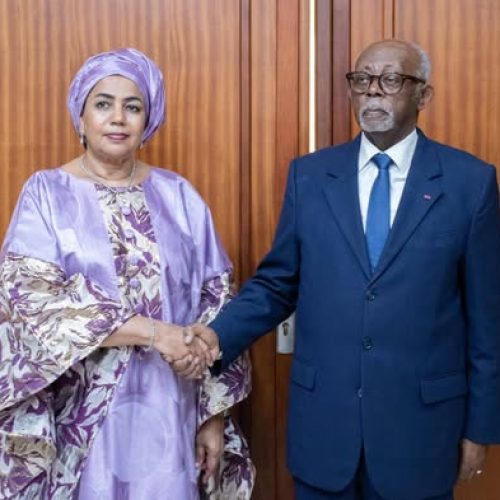 Diplomatie : l’Ambassadrice du Mali au Cameroun, S.E. Mme Nina Oualet INTALLOU, présente ses lettres de créance