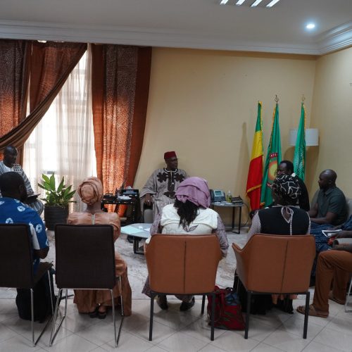 Culture et Arts : Le Ministre Mamou DAFFÉ à l’écoute de la Fédération Nationale du Théâtre du Mali (FNATM)