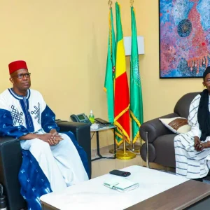 Artisanat et Culture : le ministre Mamou Daffé échange avec les organisateurs du Festival des Cultures Traditionnelles du Mali