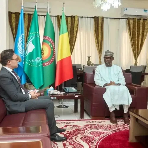 Coopération – Diplomatie : L’Ambassadeur d’Egypte et la Représentante de l’ONU – Femmes au Mali font leurs adieux à Son Excellence, Abdoulaye DIOP