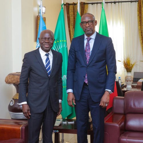 Coopération Mali – Organisation Internationale du Travail (OIT) : Le ministre Abdoulaye DIOP échange avec le directeur de l&rsquo;OIT sur des questions d’intérêts communs