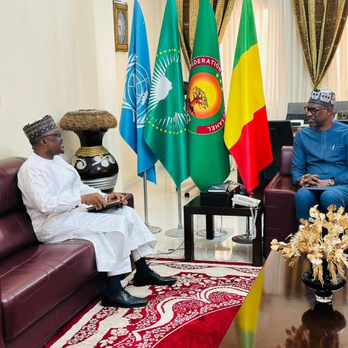 Diplomatie environnementale :   Le ministre Abdoulaye DIOP échange avec le Secrétaire Exécutif de l’APGMV sur le financement et les réformes stratégique