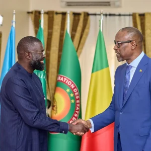 Coopération : Des échanges fructueux entre le Ministre Abdoulaye DIOP et le Directeur Afrique de la Croix rouge