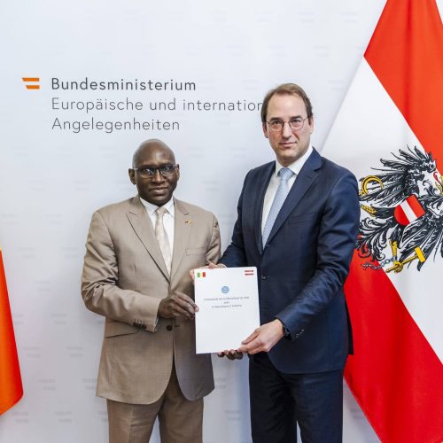 Diplomatie : l’Ambassadeur Cheick Mahamadou Chérif KEITA présente ses lettres de créances au Président autrichien
