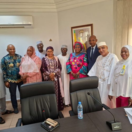 Préparatifs des 600 ans de la mosquée Sankoré de Tombouctou : des organisateurs reçus par le ministre chargé de l’Environnement