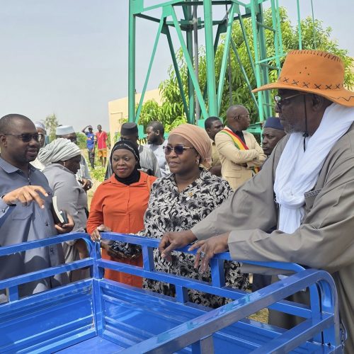 Les Sous-projets des Alliances Productives : Les Ministres DOUMBIA Mariam TANGARA et Youba BA sur leurs traces à Koulikoro