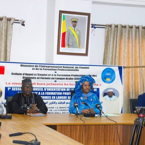 Promotion d’emplois pour les arabophones : La ministre Oumou SALL SECK lance les travaux du conseil d&rsquo;orientation de la CEFORPA