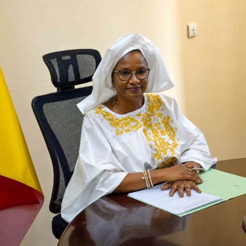 Coopération Mali – Banque Mondiale : Le Capital humain, l’employabilité des Jeunes et la promotion de la Formation Professionnelle au cœur des échanges