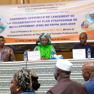 Lancement officiel de la vulgarisation du Plan Stratégique de Développement du FAFPA 2025-2029