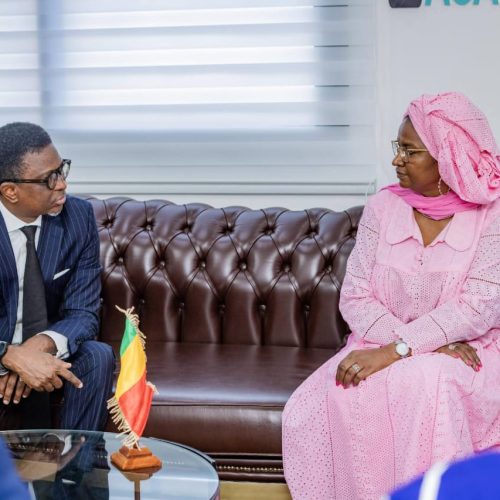 Olympiades des Métiers de Guinée Conakry : Le Mali invité d’honneur est représenté par le ministre Oumou SALL SECK
