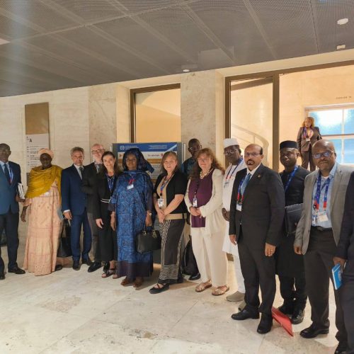 114ème Conférence Internationale du Travail : La région Afrique coordonne sa position pour tirer un meilleur avantage de ses assises