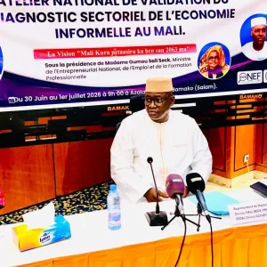 Economie informelle au Mali : Vers la validation du rapport de l’étude diagnostique sur la question