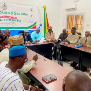 Formation vétérinaire : le Gouvernement pose les bases d’un pôle d’excellence à l’Université de Sikasso