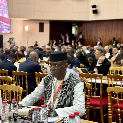 14ème Conférence Ministérielle de l’Organisation Mondiale du Commerce (OMC) à Yaoundé : Le ministre Moussa Alassane DIALLO prône une facilitation des investissements pour le développement
