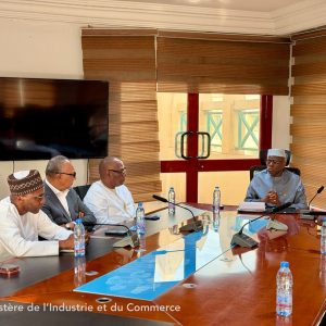 Coopération Economique Mali – Canada : Des échanges fructueux entre le ministre Moussa Alassane DIALLO et la délégation du Conseil d’Affaires Mali–Canada