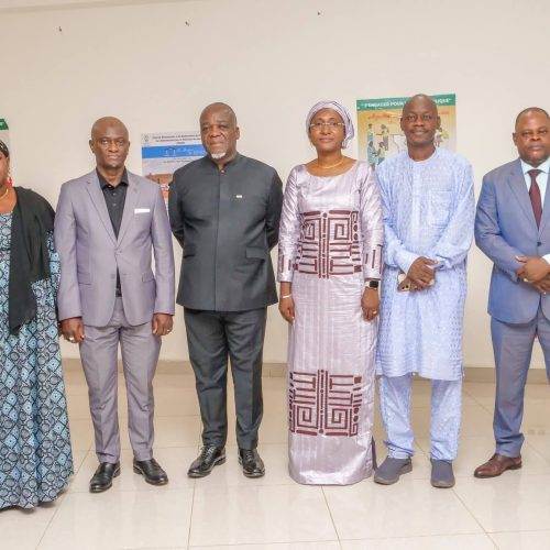 Coopération sous-régionale : la Direction nationale des Droits de l’Homme en mission d’échanges et partage d’expériences au Togo