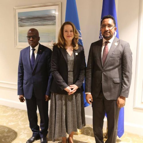 Migrations des Maliens établis à l’Extérieur et de l’Intégration africaine : Le ministre en charge des Maliens de l’Extérieur échange avec la DG de l’OIM sur le renforcement du partenariat