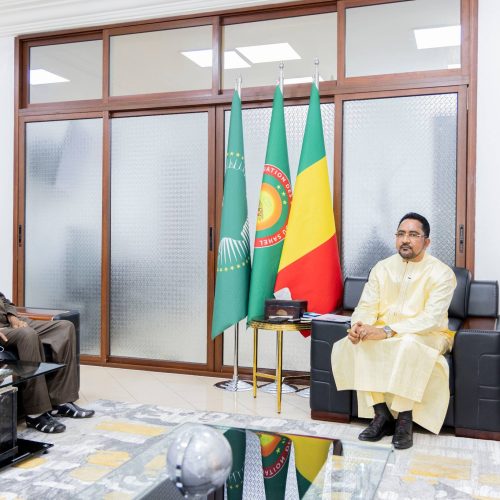 Diaspora et développement : Le ministère des Maliens de l&rsquo;Extérieur s&rsquo;engage à faciliter l&rsquo;action des experts de la santé
