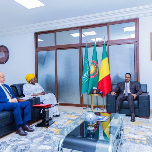 Visite des Ambassadeurs africains Chez le Ministre Mossa AG ATTAHER : Des échanges fructueux autour des préparatifs de la Semaine nationale de l’intégration africaine