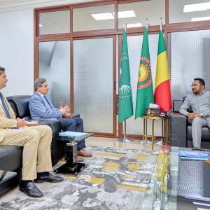 2ᵉ édition du Forum international de la diaspora : Des échanges fructueux entre le Ministre Mossa AG ATTAHER et le Chef de la délégation de l’UE au Mali