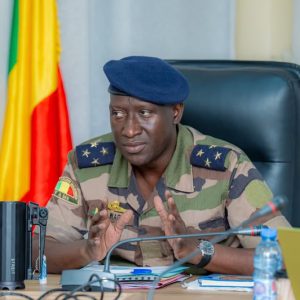 Comité National de Validation du Projet MALIDENKO : La session valide 187 sous-projets communautaires