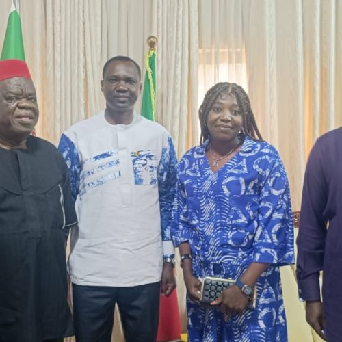 Diplomatie économique : Des échanges fructueux entre l&rsquo;Ambassadeur Cheick Omar COULIBALY et les opérateurs économiques nigérians