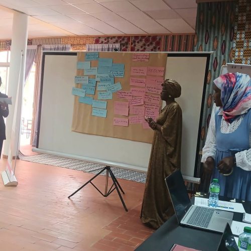 Transition agro écologique des systèmes irrigués collectifs : L&rsquo;Office du Niger partage son expérience à Saint-Louis