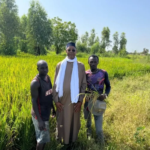 Campagne agricole en zone Office du Niger :  Le PDG Samba Bocary TOUNKARA visite la zone de production de M’Béwani