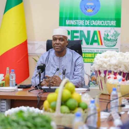 16ème Session du Comité Exécutif National de l’Agriculture (CENA) : Les résultats de la campagne 2025 et la programmation de 2026 examinés par le Gouvernement