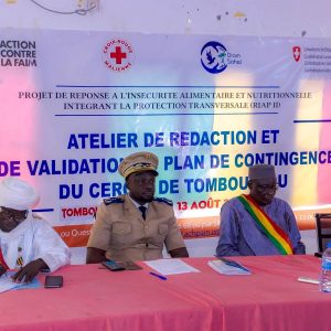 Prévention et anticipation des réponses locales aux crises : Tombouctou valide son Plan de contingence  ‎