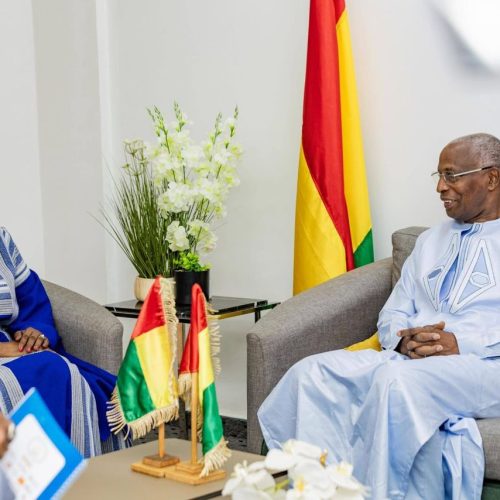 Coopération Mali-Guinée : Madame la Ministre Oumou Sall Seck reçue par le Premier Ministre guinéen