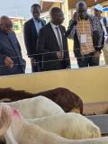 2ème Édition de la Grande Foire Agricole du Congo : Le Ministre Ibrahima SAMAKE a insisté sur le dynamisme du secteur agricole et ses perspectives prometteuses