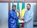 Promotion des Investissements Productifs de la diaspora : Le ministre Mossa AG ATTAHER échange avec le représentant de la BAD sur le Forum International de la Diaspora malienne
