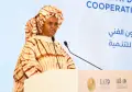 Cairo dialogue :  LE MALI PLAIDE POUR UNE COOPÉRATION SUD-SUD FONDÉE SUR LE PARTENARIAT ET LE DÉVELOPPEMENT DU CAPITAL HUMAIN